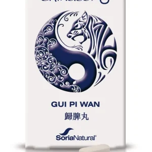Chinasor 06 GUI PI WAN