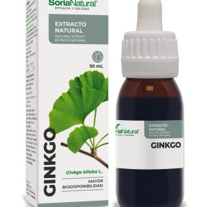 Ginkgo