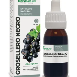 Groselheira Negra